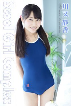 织田信奈的野望小说